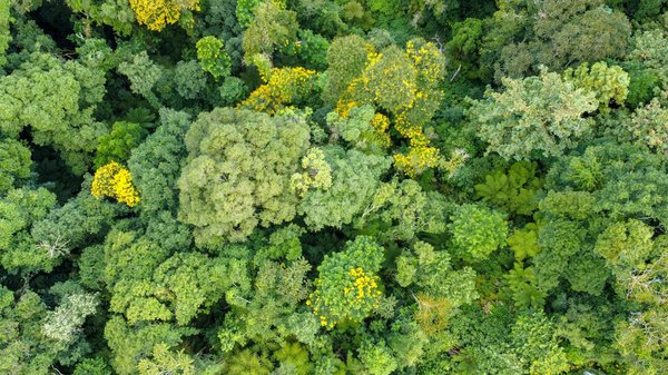 Les 10 Nations au Bilan Écologique le Plus Désastreux