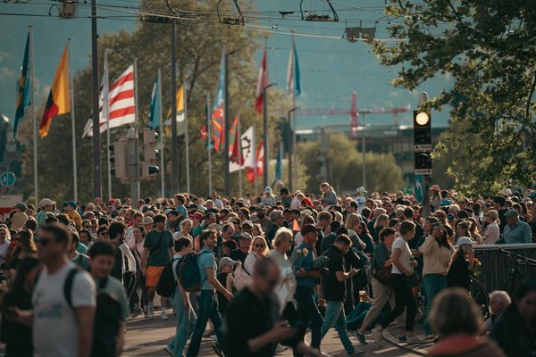 Les fleurs des sommets sous la menace de la fonte glaciaire : une bataille pour la survie
